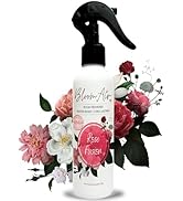 Air Freshener 4Xme Bloom