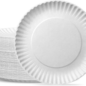 Disposable Paper Plat pak