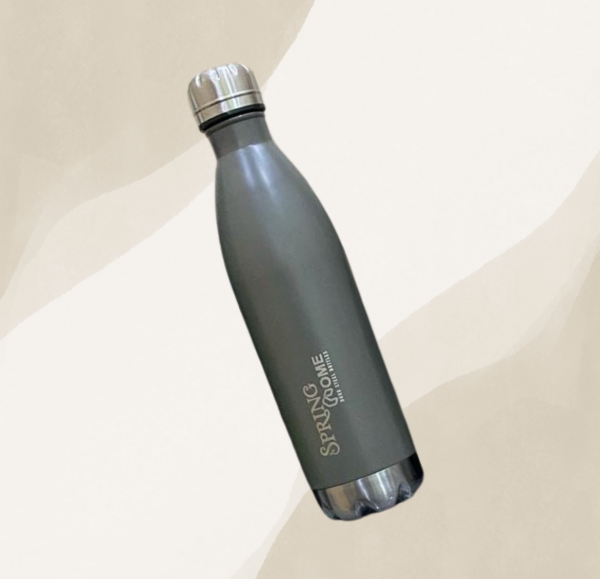 Ap Spring Water Bottle SS