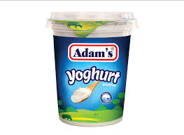 Adams Yoghurt 400g cup