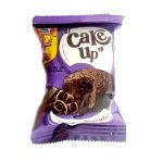 Cake Up Choco 20 D