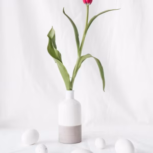 Ap Tulip Stand