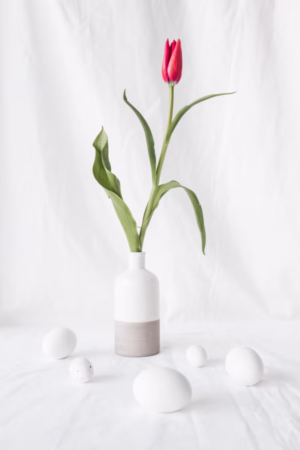 Ap Tulip Stand
