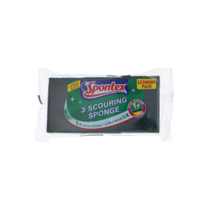3 Scouring Spont Eco